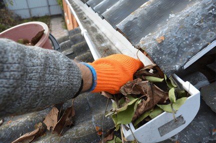 Clean Sunroom Gutters